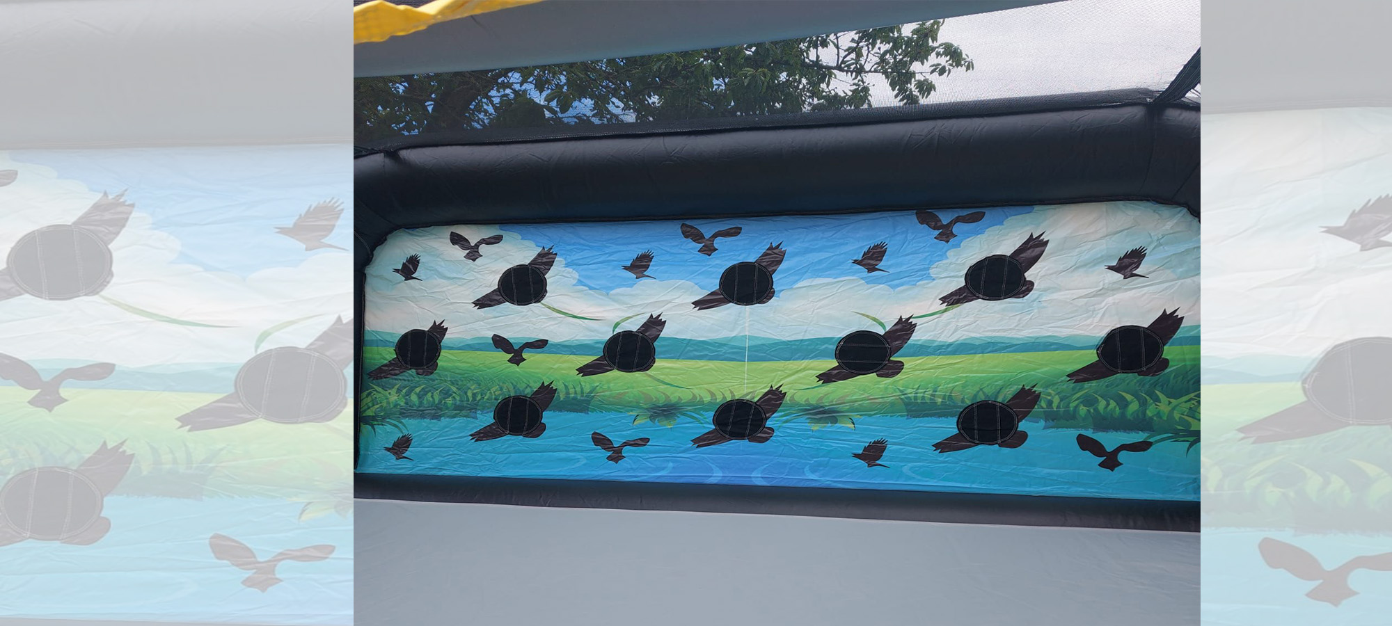 Birds shooting arena