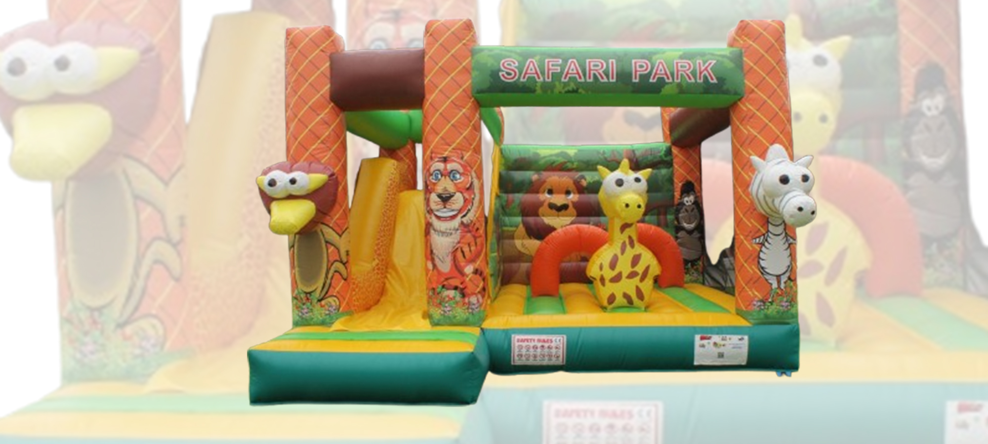 Safari