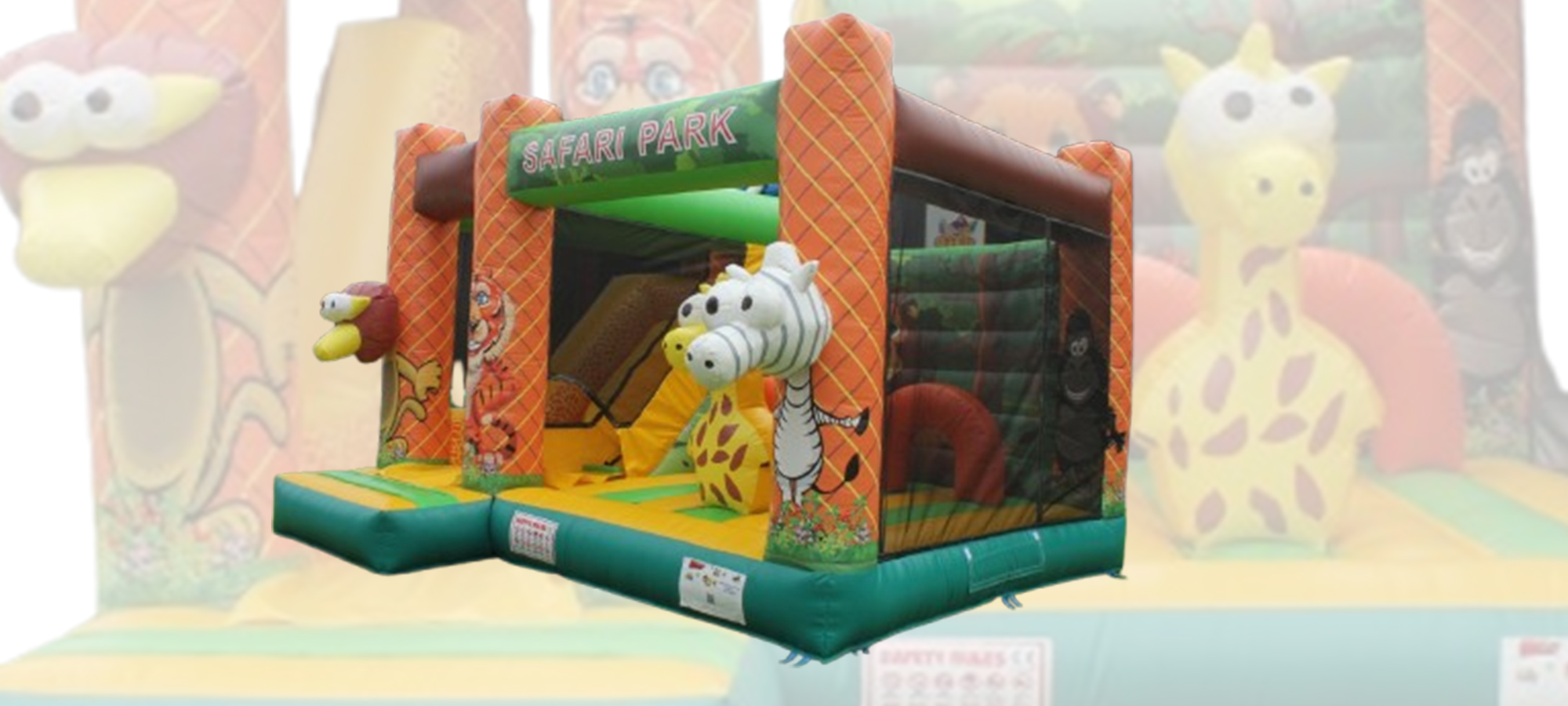 Safari